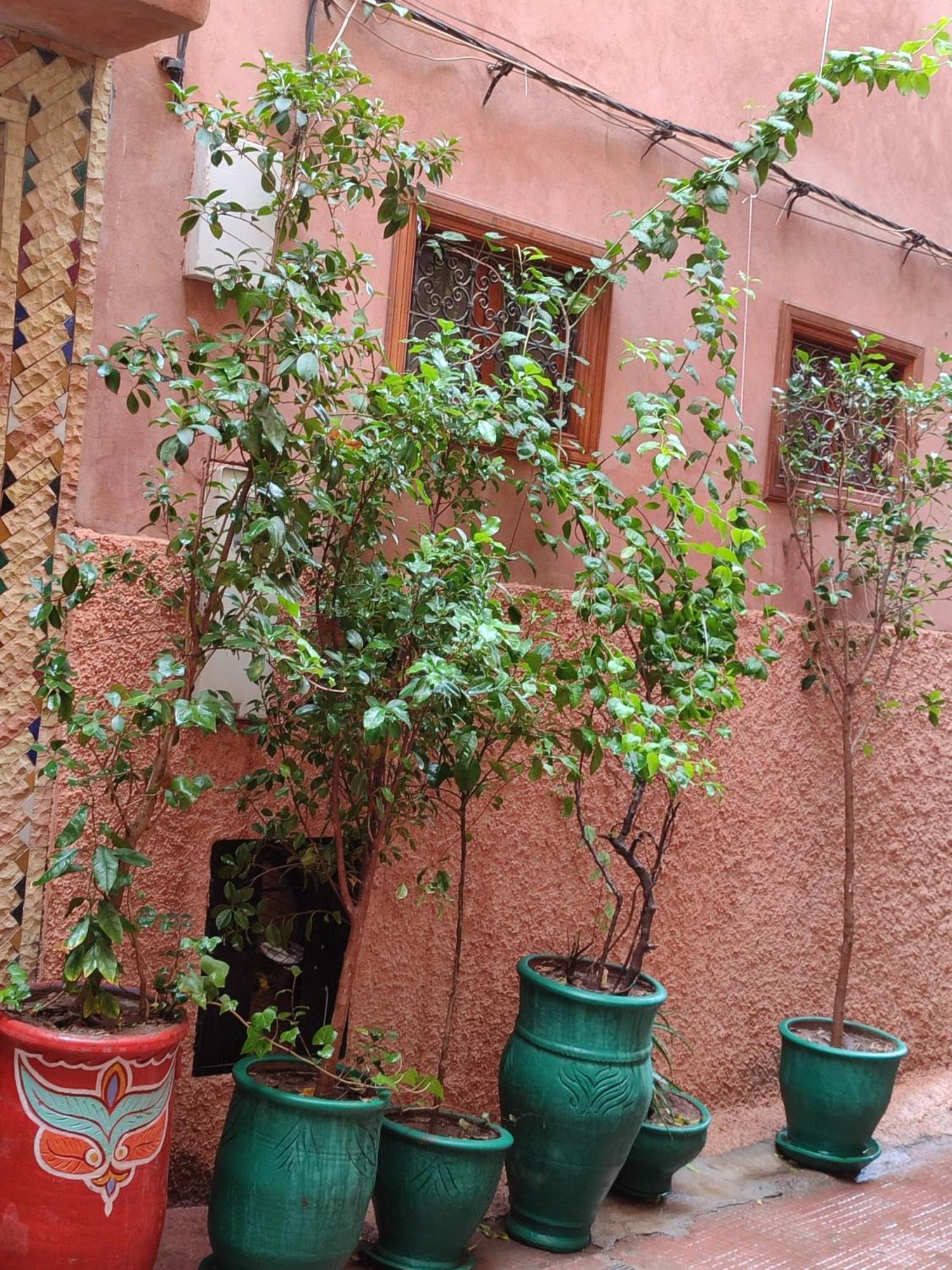 Riad Zahri مراكش المظهر الخارجي الصورة